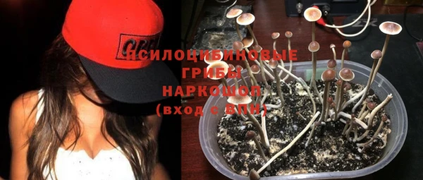 прущая мука Верхний Тагил