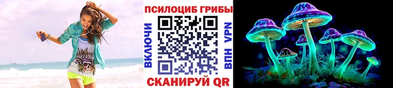 Галлюциногенные грибы Psilocybine cubensis  Купить закладки  Кыштым 